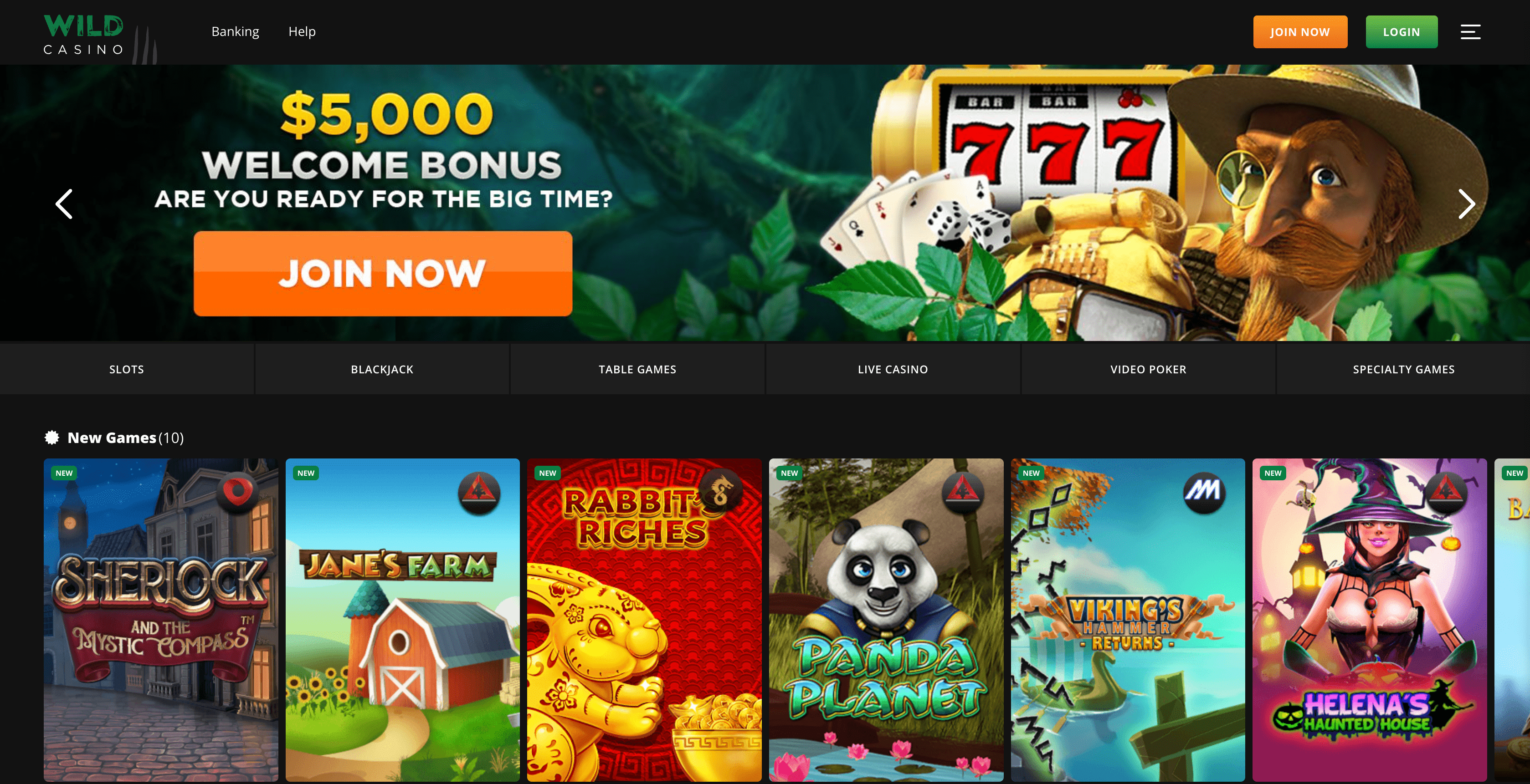 Wild Casino main page